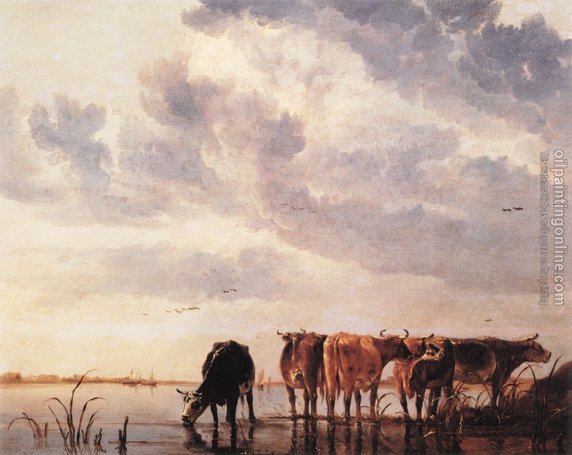 Aelbert Cuyp - Cows